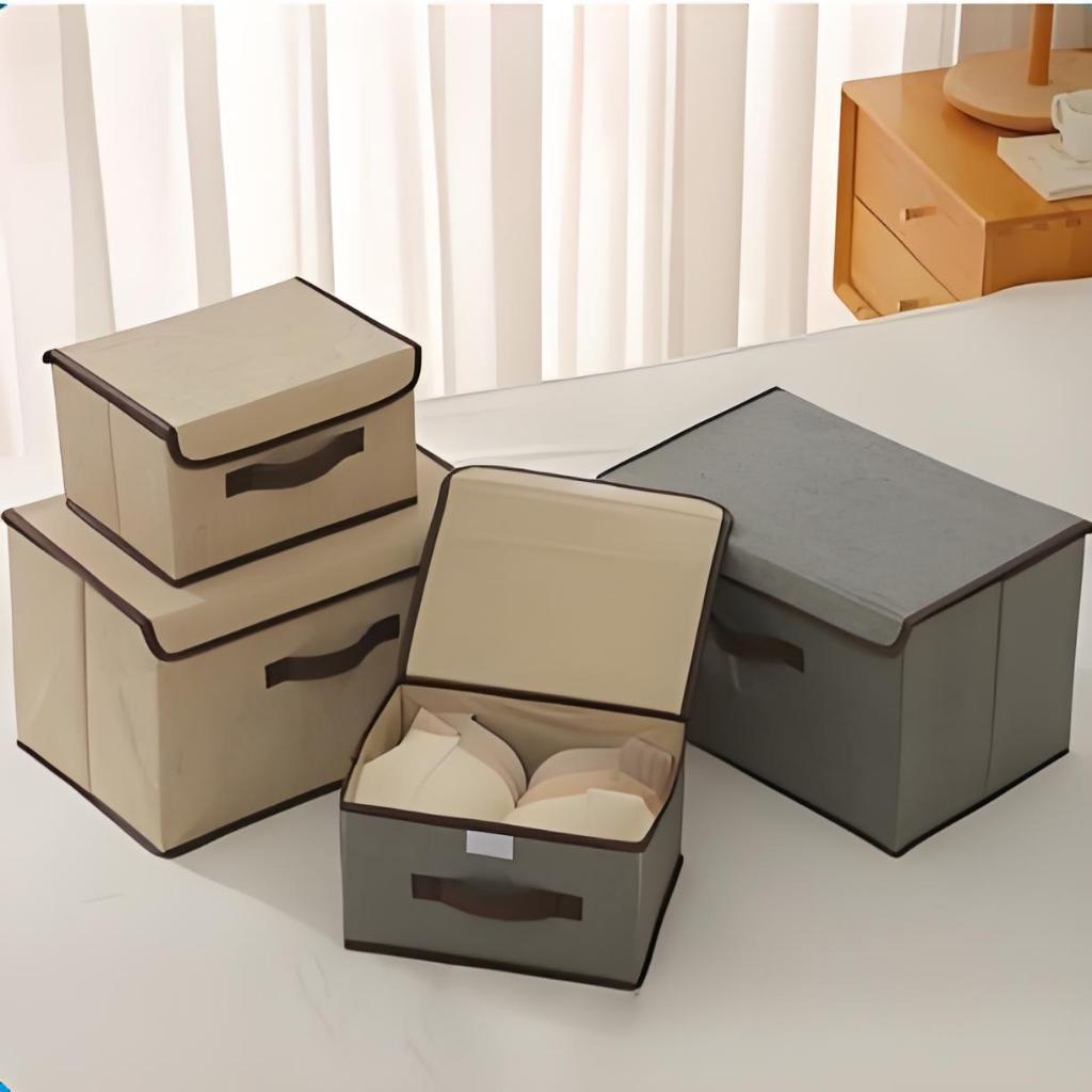 KIT 2 Caixas Mutiuso Organizadora Colors Dobravel TNT para armarios, guarda roupas OG-38-ND/OG-39-ND